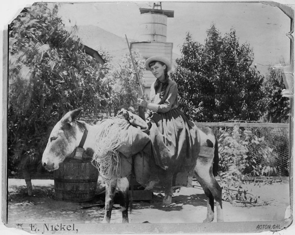 Lou Henry on a burro at Acton, CA on 22 August 1891 (Wikipedia)