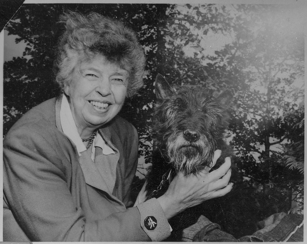 Roosevelt with her dog Fala in 1951