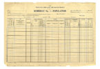 The 1900 US Federal Census: A Closer Look