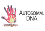 What is Autosomal DNA?