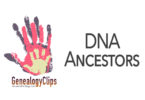 Y-DNA and mt-DNA, and How They Can Help You Trace Your Ancestors