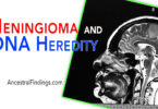 Meningioma and DNA Heredity