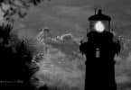 The Rise of Iconic U.S. Lighthouses