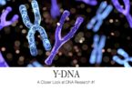 Y-DNAA Closer Look at DNA Research #1