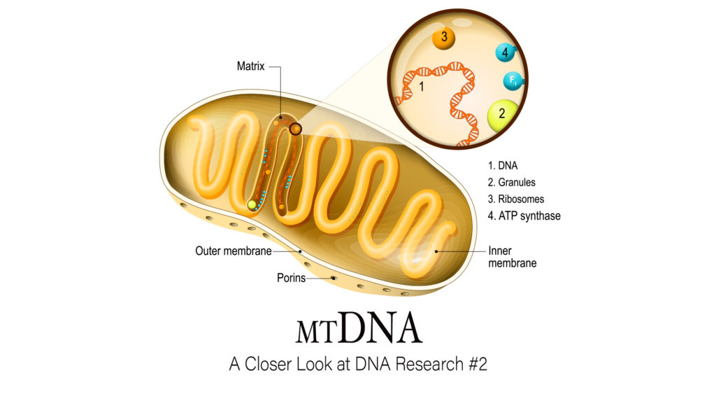 3 Questions to Ask Yourself Before Getting DNA Testing for ...