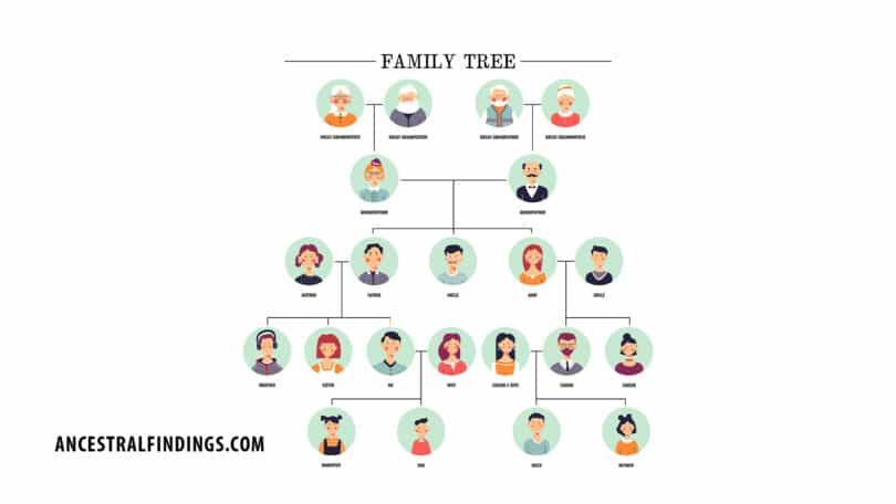 This Week's Free Genealogy Lookups