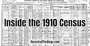 Inside the 1910 Census
