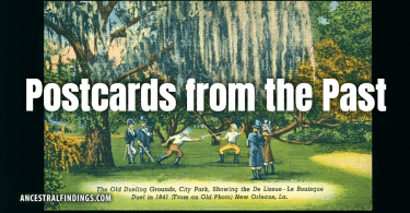 The Dueling Oaks of New Orleans | Postcards from the Past