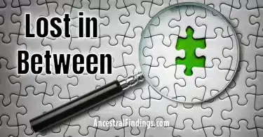 Lost in Between: The Missing Pieces of the Census Puzzle