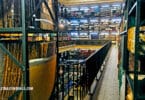 Exploring Brazil’s National Archives for Genealogy