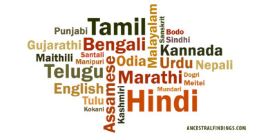 Navigating Language Barriers in Indian Genealogy