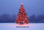 A Silent Night