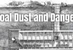 Coal Dust and Danger: Life as a Miner in the Family Tree
