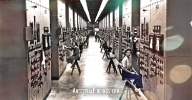 Post-War Professions: Careers That Came from Military Skills