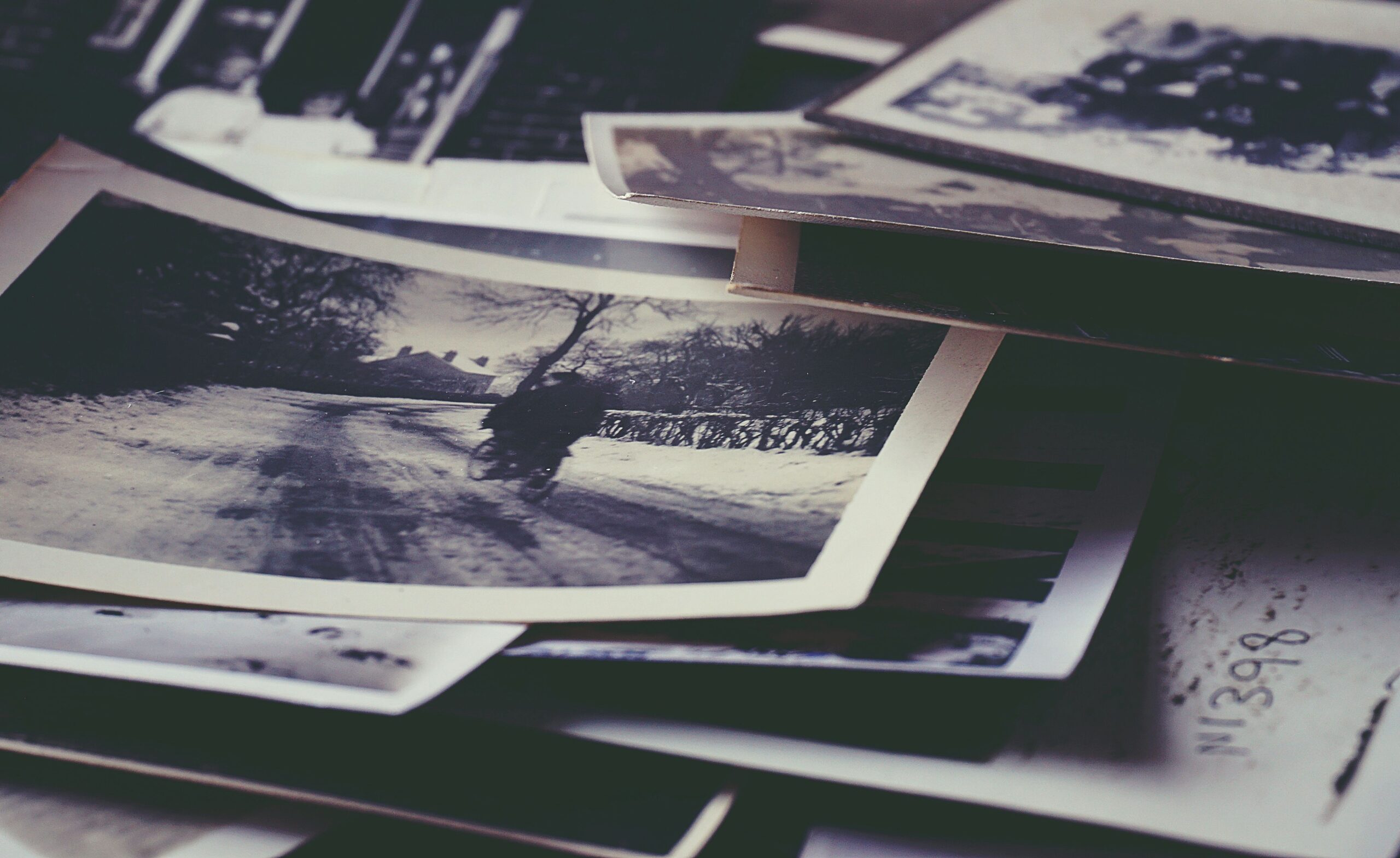 Vintage family photographs gathered for an unfinished family search